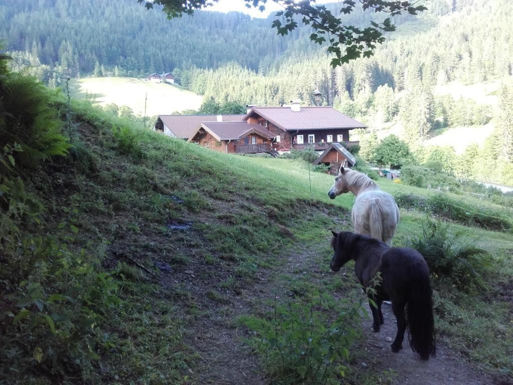 Neudegghof Eben Im Pongau Exterior foto