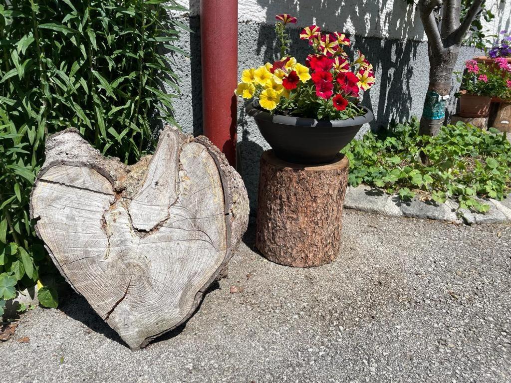 Neudegghof Eben Im Pongau Exterior foto